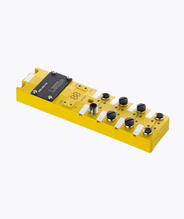 TTEPL Leuze Muting Interface 
